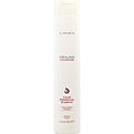 Lanza Healing Color Care Color-Preserving Shampoo for unisex by Lanza