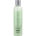 Simply Smooth Xtend Keratin Replenishing Shampoo Tropical Sodium Chloride Free for unisex by Simply Smooth