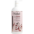 Ouidad Ouidad Advanced Climate Control Defrizzing Conditioner for unisex by Ouidad