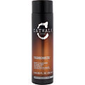 Catwalk Fashionista Brunette Conditioner for unisex by Tigi