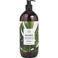 Ag Hair Care Balance Apple Cider Vinegar Sulfate-Free Shampoo for unisex by Ag Hair Care