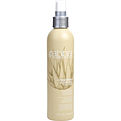 Abba Preserving Blow Dry Spray (New Packaging) for unisex by Abba Pure & Natural Hair Care