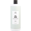 Ag Hair Care Vita C Shampoo Sulfate Free for unisex by Ag Hair Care