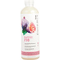 Rusk Puremix Native Fig Replenishing Shampoo for unisex by Rusk