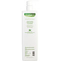 Eufora Aloetherapy Soothing Hair And Body Cleanse for unisex by Eufora