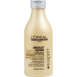 L'Oreal L'Oreal