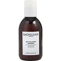 Sachajuan